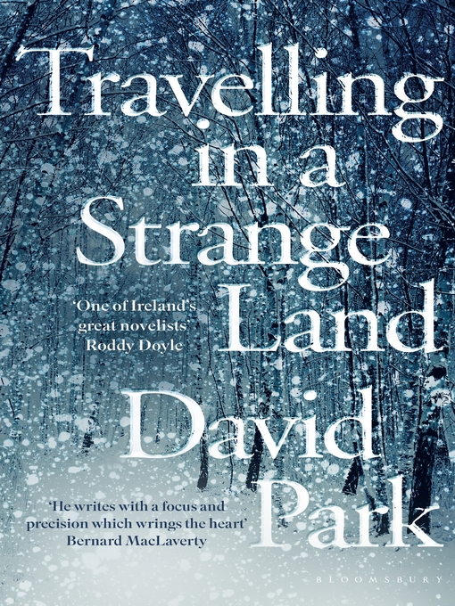 Nimiön Travelling in a Strange Land lisätiedot, tekijä David Park - Saatavilla
